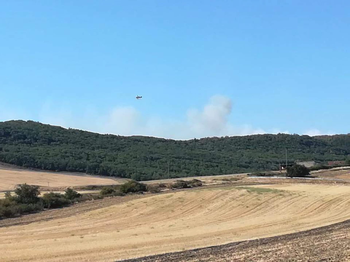 Reportage Incendio del Bosco Difesa Grande di Gravina foto, video e