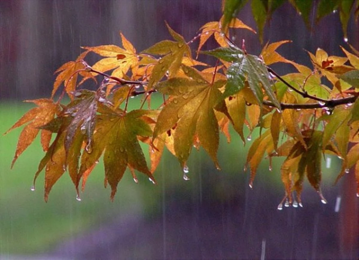 pioggia-autunno01-579x420