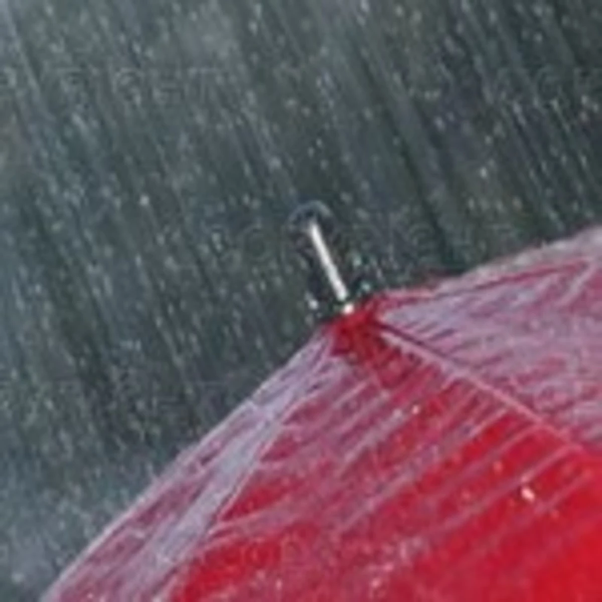 pioggia_ombrello1_800_800